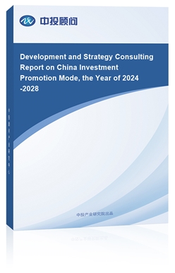 Development and Strategy Consulting Report on China Investment Promotion Mode, the Year of 2018-2022